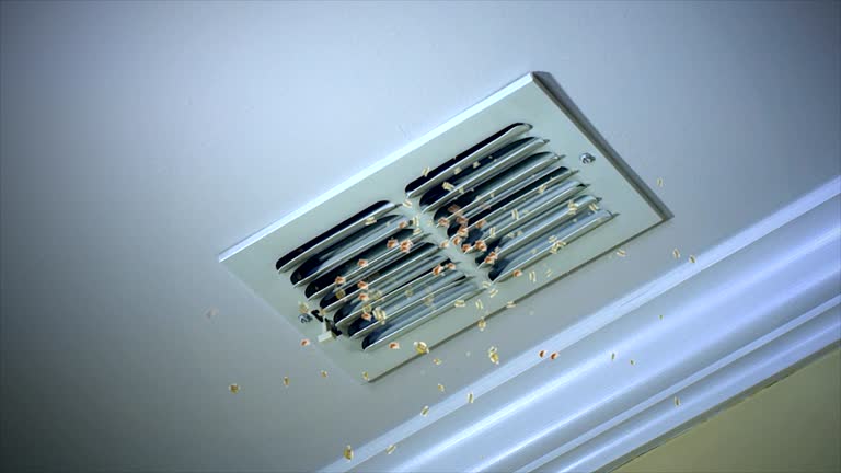 Best Local Air Duct Cleaning Services  in Nipomo, CA