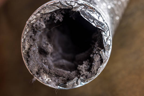 Best Air Duct Cleaning Near Me  in Nipomo, CA